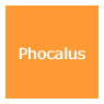 Phocalus